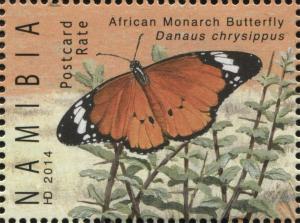 Colnect-3065-099-African-Monarch-Danaus-chrysippus.jpg