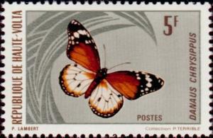 Colnect-555-929-African-Monarch-Danaus-chrysippus.jpg