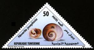 Colnect-558-785-Josephine-s-Moon-Snail-Neverita-josephinia.jpg