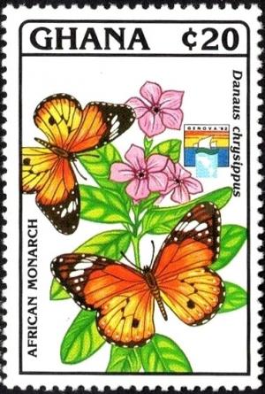 Colnect-5994-580-African-Monarch-Danaus-chrysippus.jpg