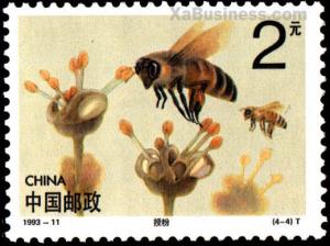 Colnect-603-151-Western-Honey-Bee-Apis-mellifera.jpg