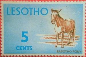 Colnect-745-198-Basotho-Pony-Equus-ferus-caballus.jpg