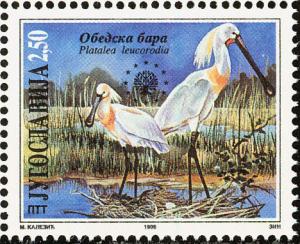 Colnect-875-652-Eurasian-Spoonbill-Platalea-leucorodia.jpg