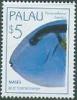 Colnect-2422-238-Palette-Surgeonfish-Paracanthurus-hepatus.jpg