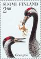 Colnect-160-418-Common-Crane-Grus-grus.jpg