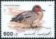 Colnect-1939-425-Common-Teal-Anas-crecca.jpg