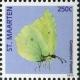 Colnect-2628-547-Brimstone-Gonepteryx-rhamni.jpg