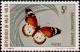 Colnect-555-929-African-Monarch-Danaus-chrysippus.jpg