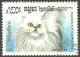 Colnect-832-088-White-British-Longhair-Felis-silvestris-catus.jpg