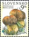 Colnect-1244-883-Mushroom---Boletus-aereus.jpg