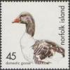 Colnect-2513-093-Domestic-Goose-Anser-anser-domestica.jpg