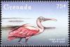 Colnect-4592-809-Roseate-Spoonbill----Platalea-ajaja.jpg