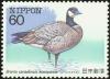 Colnect-608-847-Aleutian-Crackling-Goose-Branta-canadensis-leucopareia-.jpg