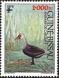 Colnect-1175-797-Domestic-Goose-Anser-anser-domestica.jpg