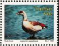 Colnect-1456-733-Egyptian-Goose-Alopochen-aegyptiacus.jpg