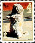 Colnect-2823-980-Lhasa-Apsoo-Canis-lupus-familiaris.jpg