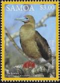 Colnect-3195-794-Red-footed-Booby-Sula-sula.jpg