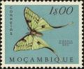 Colnect-4563-978-African-Moon-MOth-Argerna-mimosae.jpg