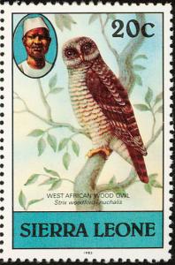 Colnect-1673-329-African-Wood-Owl-Strix-woodfordii.jpg