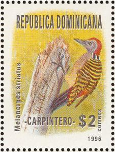 Colnect-3152-683-Hispaniolan-Woodpecker-Melanerpes-striatus.jpg