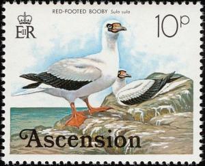 Colnect-1405-639-Red-footed-Booby-Sula-sula.jpg