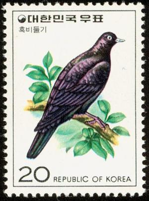 Colnect-2194-500-Japanese-Woodpigeon-Columba-janthina.jpg