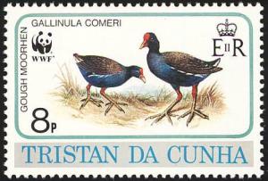 Colnect-2194-570-Gough-Moorhen-Gallinula-comeri.jpg