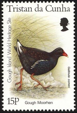 Colnect-2194-575-Gough-Moorhen-Gallinula-comeri.jpg