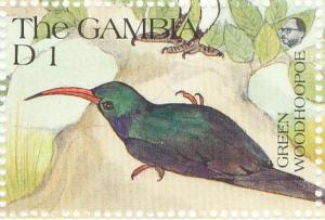 Colnect-2613-319-Green-Woodhoopoe-Phoeniculus-purpureus.jpg