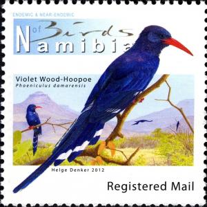 Colnect-3063-317-Violet-Woodhoopoe-Phoeniculus-damarensis.jpg