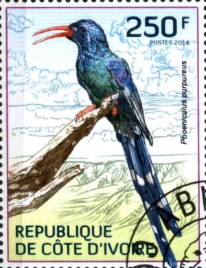 Colnect-3444-429-Green-Woodhoopoe-Phoeniculus-purpureus.jpg