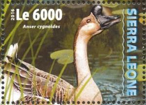 Colnect-3566-084-Swan-Goose---Anser-cygnoides.jpg