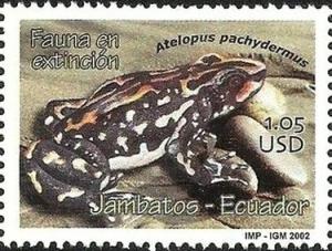 Colnect-3874-744-Schmidt-s-Stubfoot-Toad-Antelopus-pachydermus.jpg