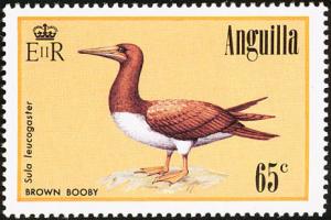 Colnect-579-181-Brown-Booby-Sula-leucogaster-.jpg