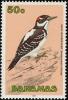 Colnect-576-826-White-breasted-Woodpecker-Dendrocopos-villosus.jpg