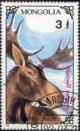 Colnect-1261-366-Moose-Alces-alces.jpg