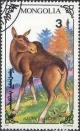 Colnect-1261-367-Moose-Alces-alces.jpg