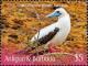 Colnect-6359-414-Red-footed-Booby-Sula-sula.jpg