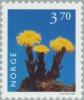 Colnect-162-549-Coltsfoot-Tussilago-farfara.jpg