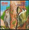 Colnect-5344-326-Green-Woodpecker-Picus-viridis.jpg