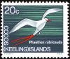 Colnect-1103-420-Red-tailed-Tropicbird-Phaethon-rubricauda.jpg