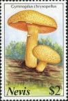 Colnect-2051-524-Cymnopilus-chrysopellus.jpg