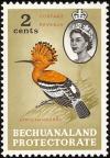 Colnect-2847-818-African-Hoopoe-Upupa-epops-africana.jpg