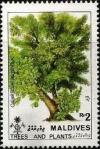 Colnect-4170-976-Calophyllum-mophyllum.jpg