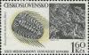 Colnect-438-431-Trilobit-Selenopeltis-buchi-buchi-Barrande.jpg