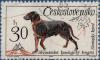 Colnect-4732-147-Slovakian-Kopov-Canis-lupus-familiaris.jpg