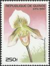 Colnect-5578-483-Paphiopedilum-ernest-read.jpg