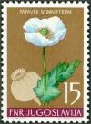 Colnect-5658-089-Opium-Poppy-Papaver-somniferum.jpg