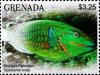 Colnect-6029-692-Stoplight-parrotfish.jpg