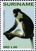 Colnect-4044-962-Cercopithecus-nictitans.jpg